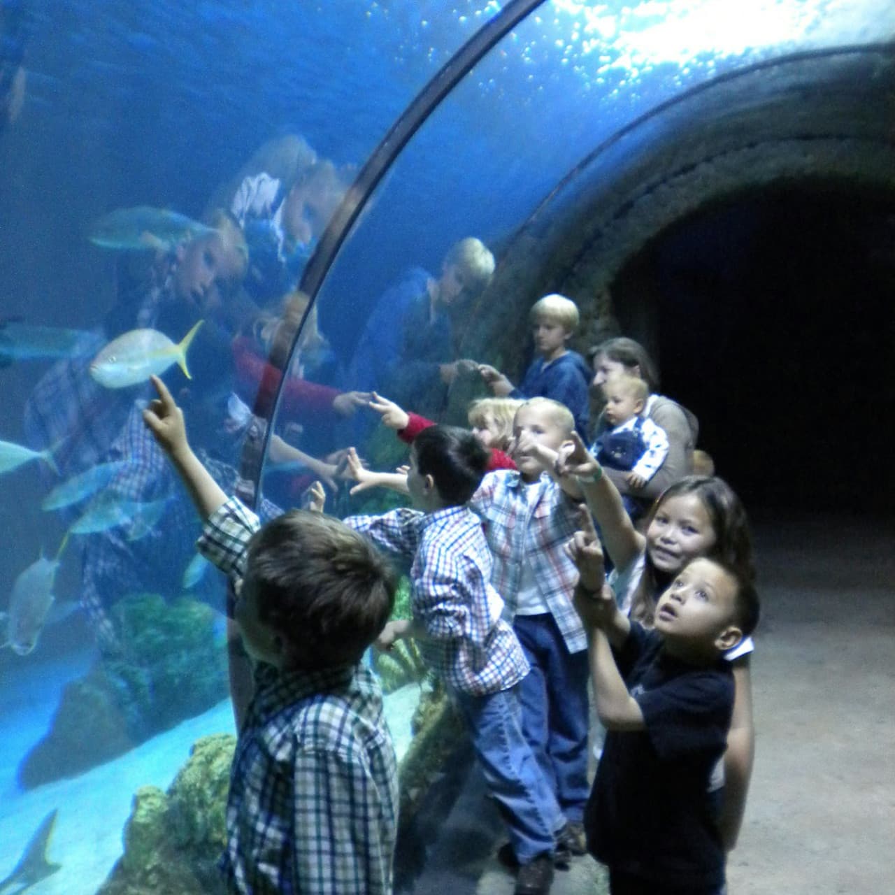 Downtown Aquarium Denver Ticket - تصویر 10
