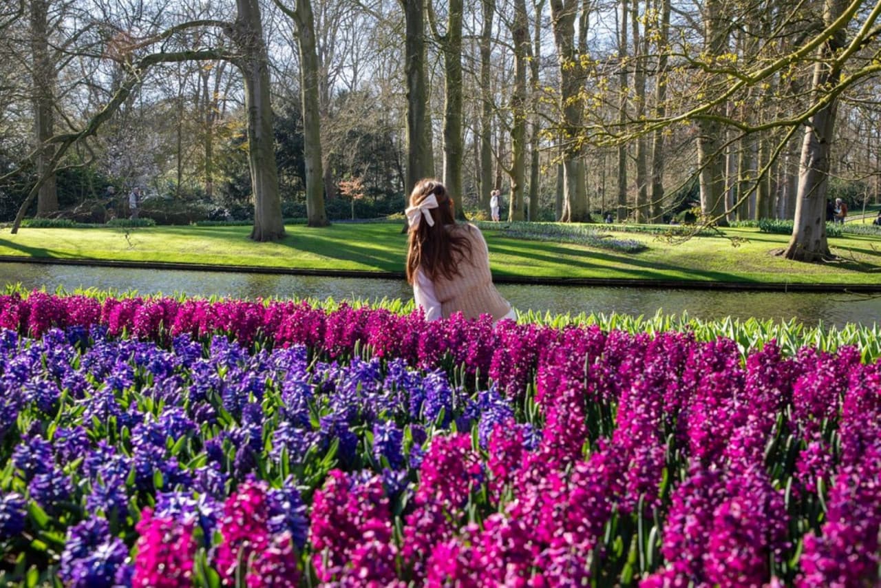 Keukenhof Gardens Ticket with Round Trip Bus Transfer from Amsterdam - تصویر 3