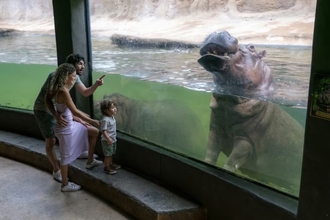 San Antonio Zoo Ticket - تصویر اصلی