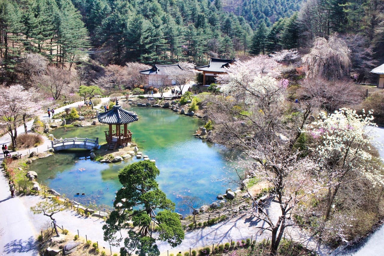 Nami Island, Mount Seorak, and Garden of Morning Calm Full-Day Tour from Seoul - تصویر 34