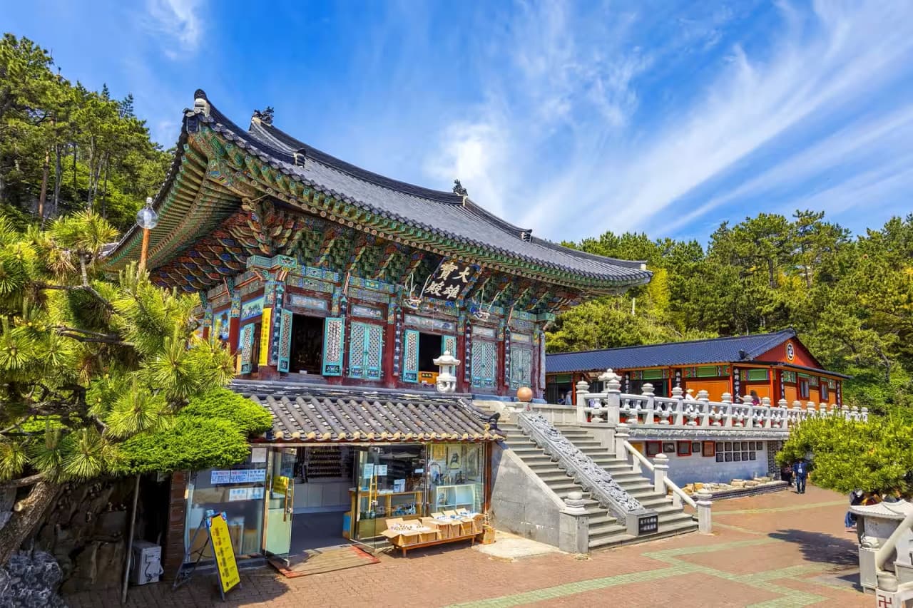 Busan Local Life Tour: Bamboo Forest, Haedongyonggungsa Temple, Gamcheon Culture Village - تصویر 5