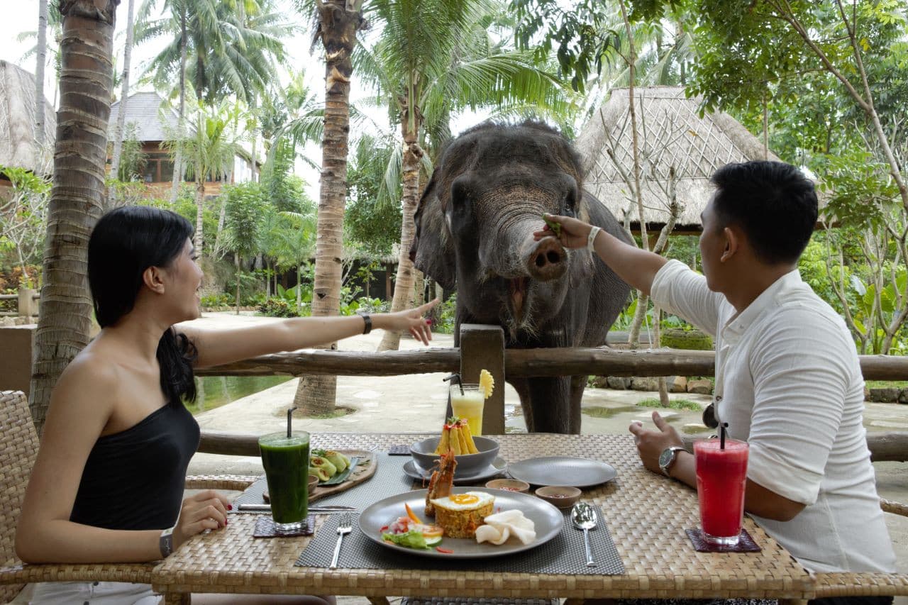 Lombok Wildlife Park - تصویر 8