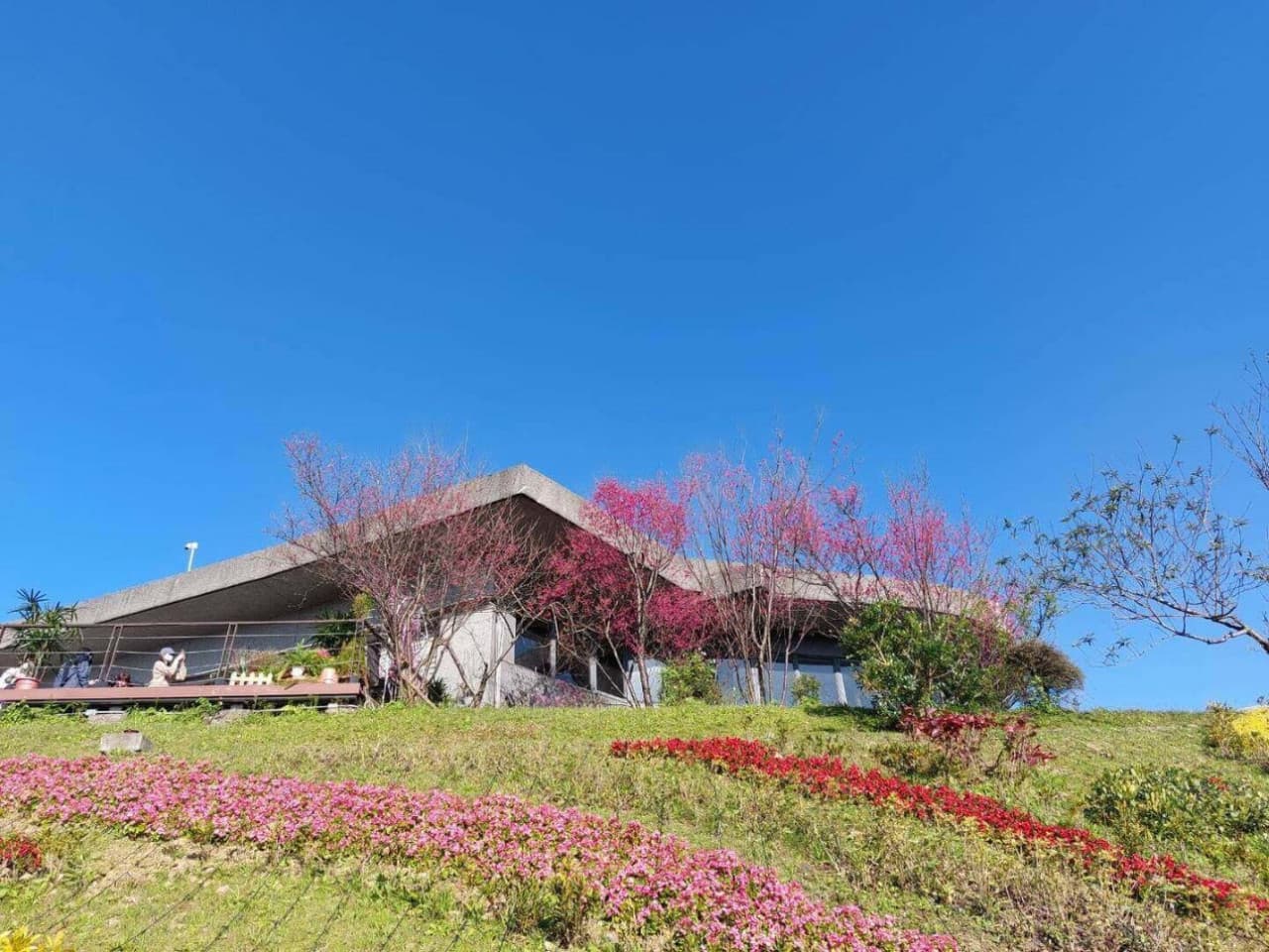 Pinglin Tea Culture and Maokong Full-Day Tour from Taipei - تصویر 6