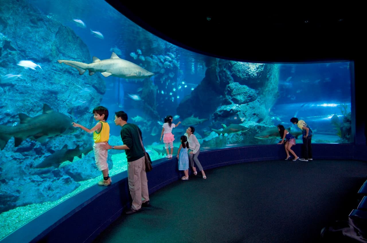 COMBO: SEA LIFE Bangkok Ocean World + Madame Tussauds Bangkok Tickets - تصویر اصلی