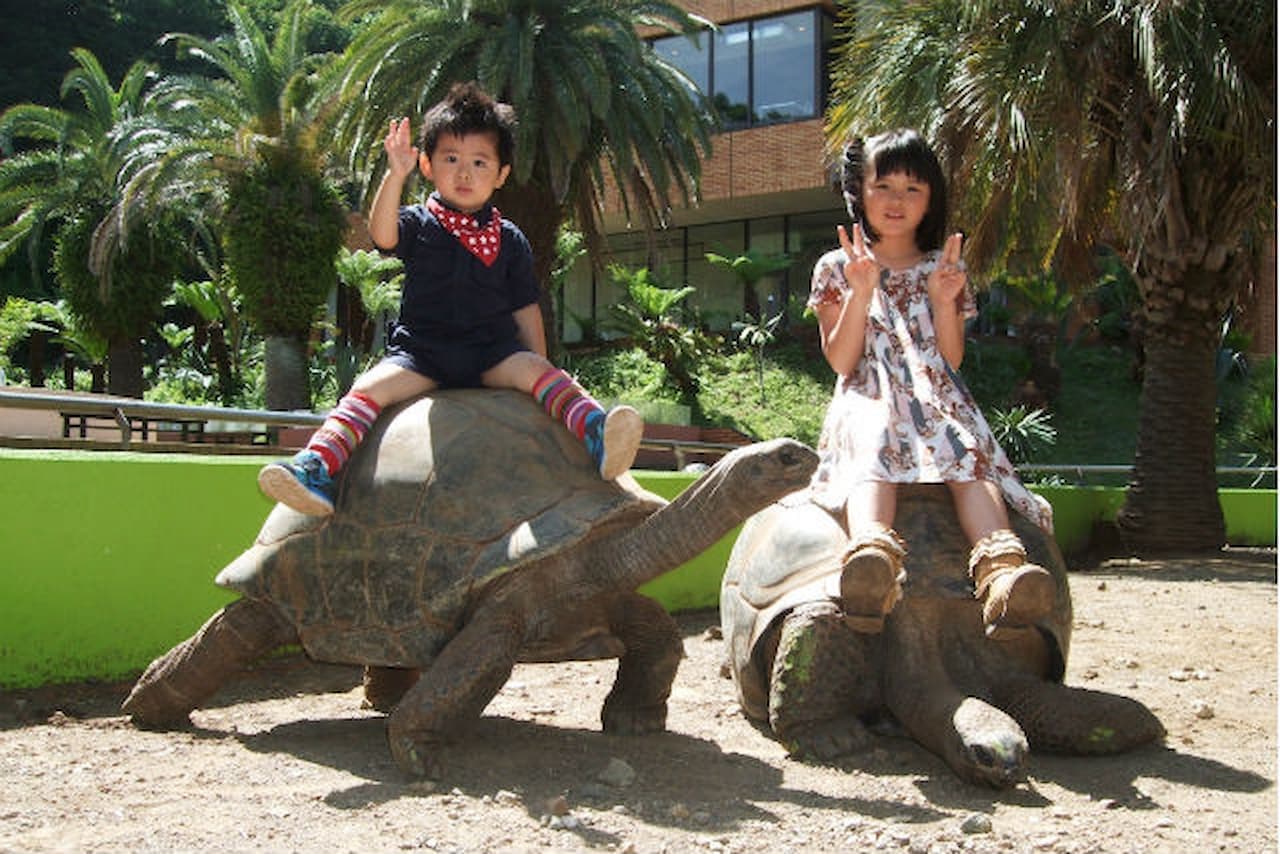 iZoo Sensory Zoo Ticket - تصویر 3