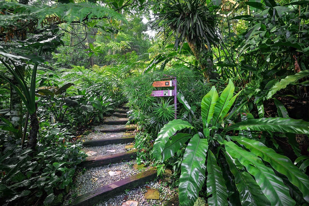 Tropical Spice Garden Penang - تصویر 3
