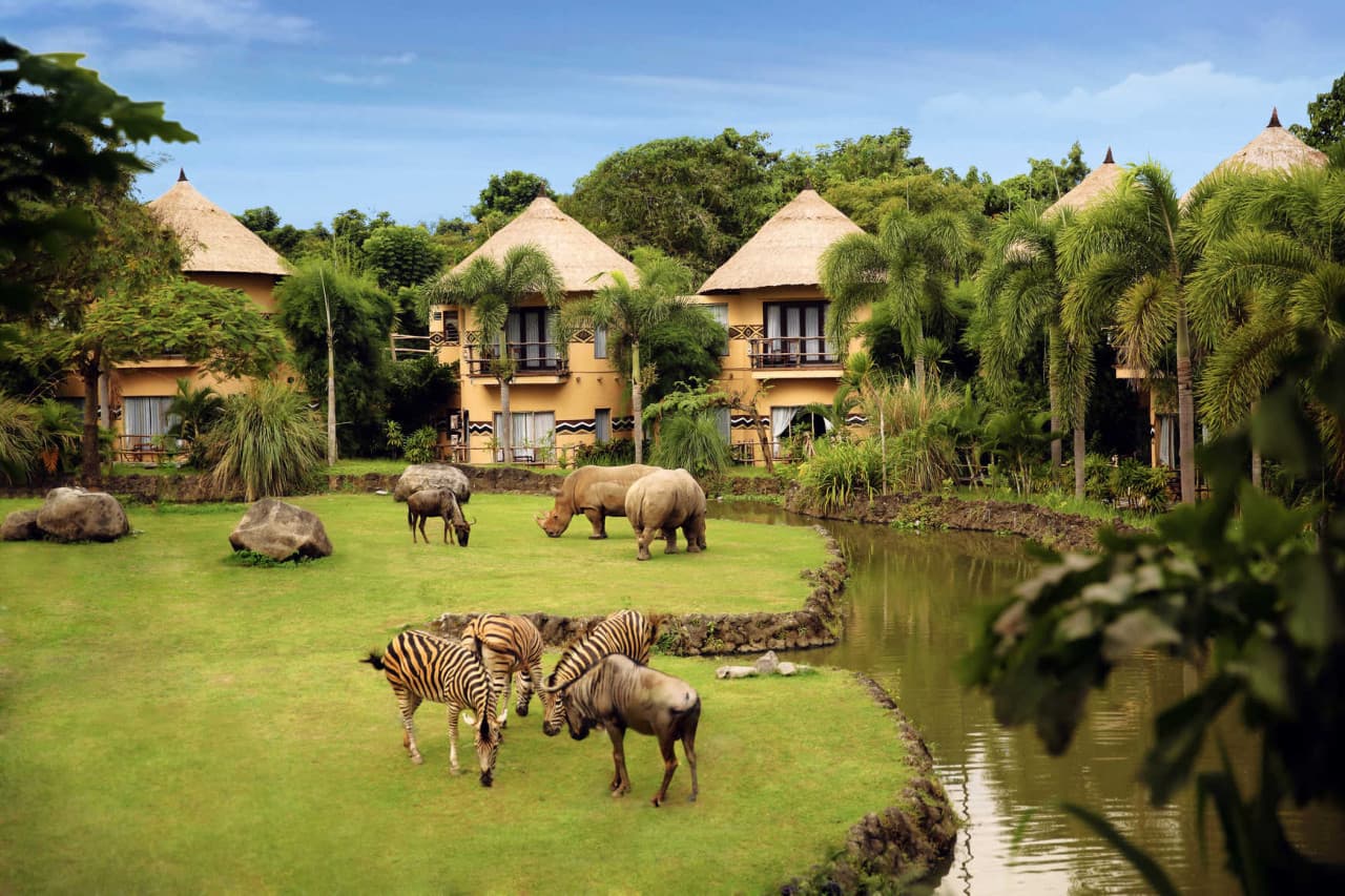 Bali Safari Park Ticket - تصویر 2