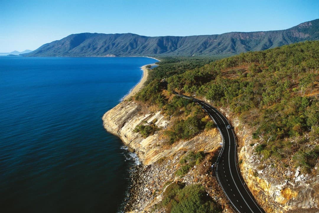 Cape Tribulation and Daintree Wilderness Full-Day Tour - تصویر 12