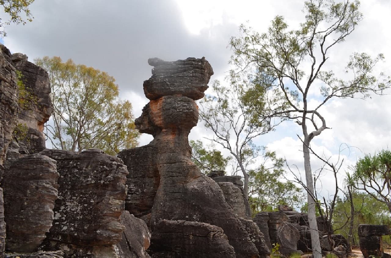 Litchfield National Park and Waterfalls Tour from Darwin - تصویر 3