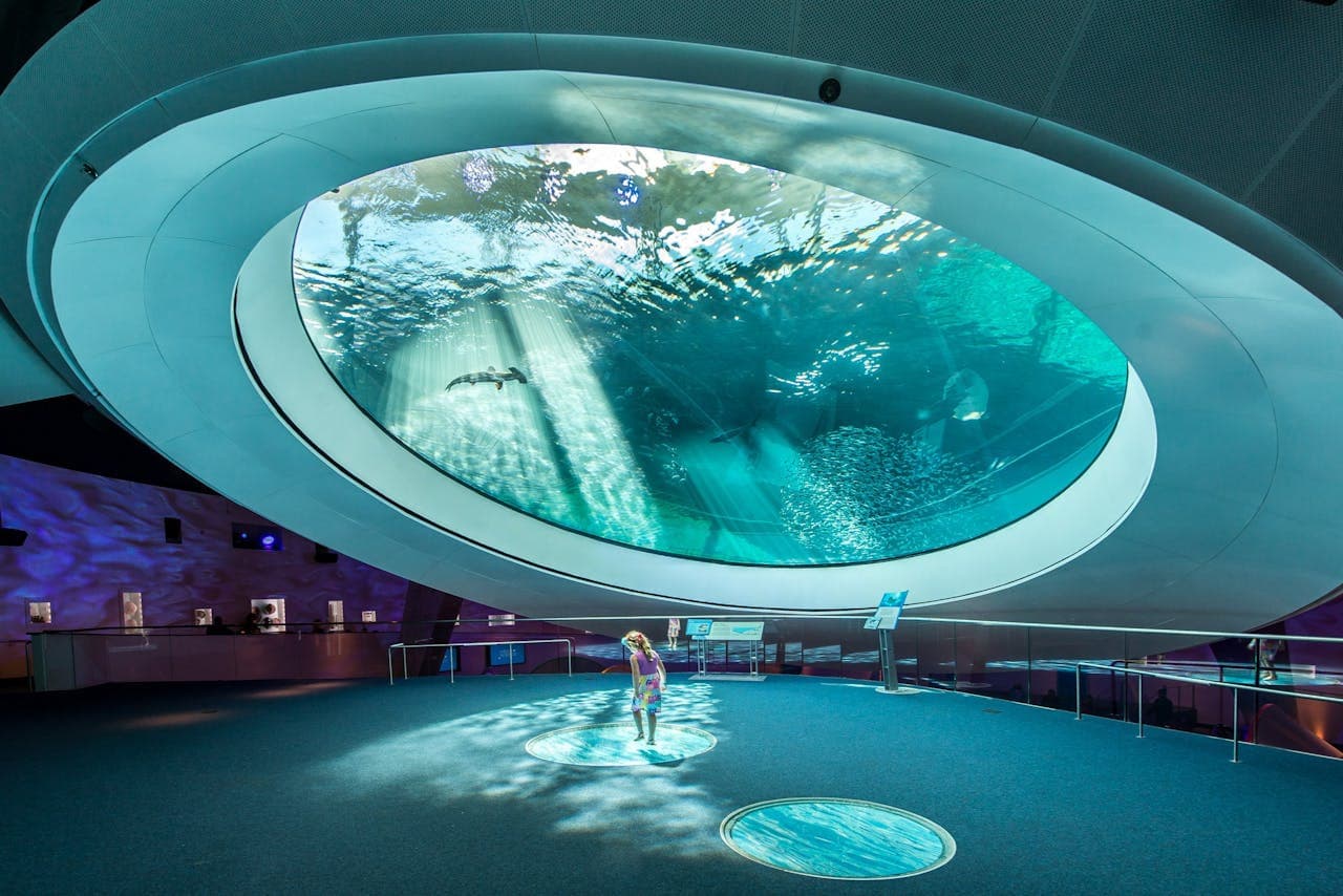 Phillip & Patricia Frost Museum of Science, Aquarium and Planetarium Ticket - تصویر اصلی