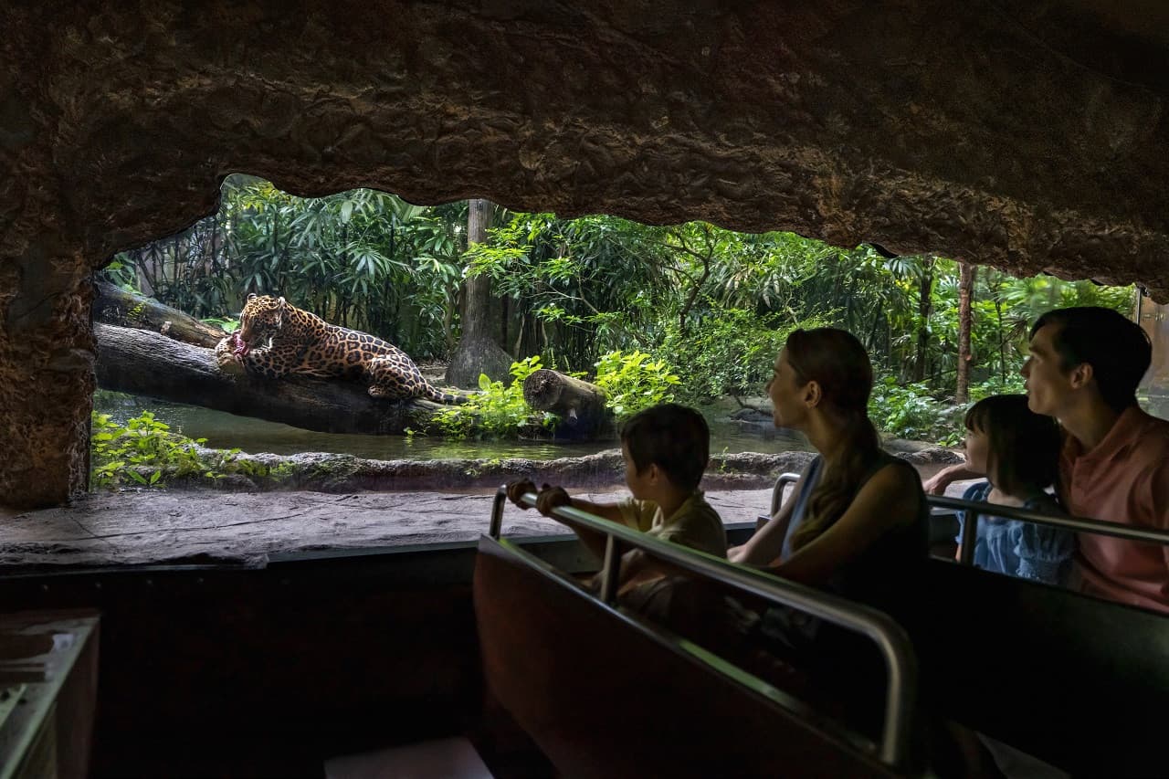 5-in-1 Day Pass: Night Safari + Singapore Zoo + Bird Paradise + River Wonders + Rainforest Adventure - تصویر 2