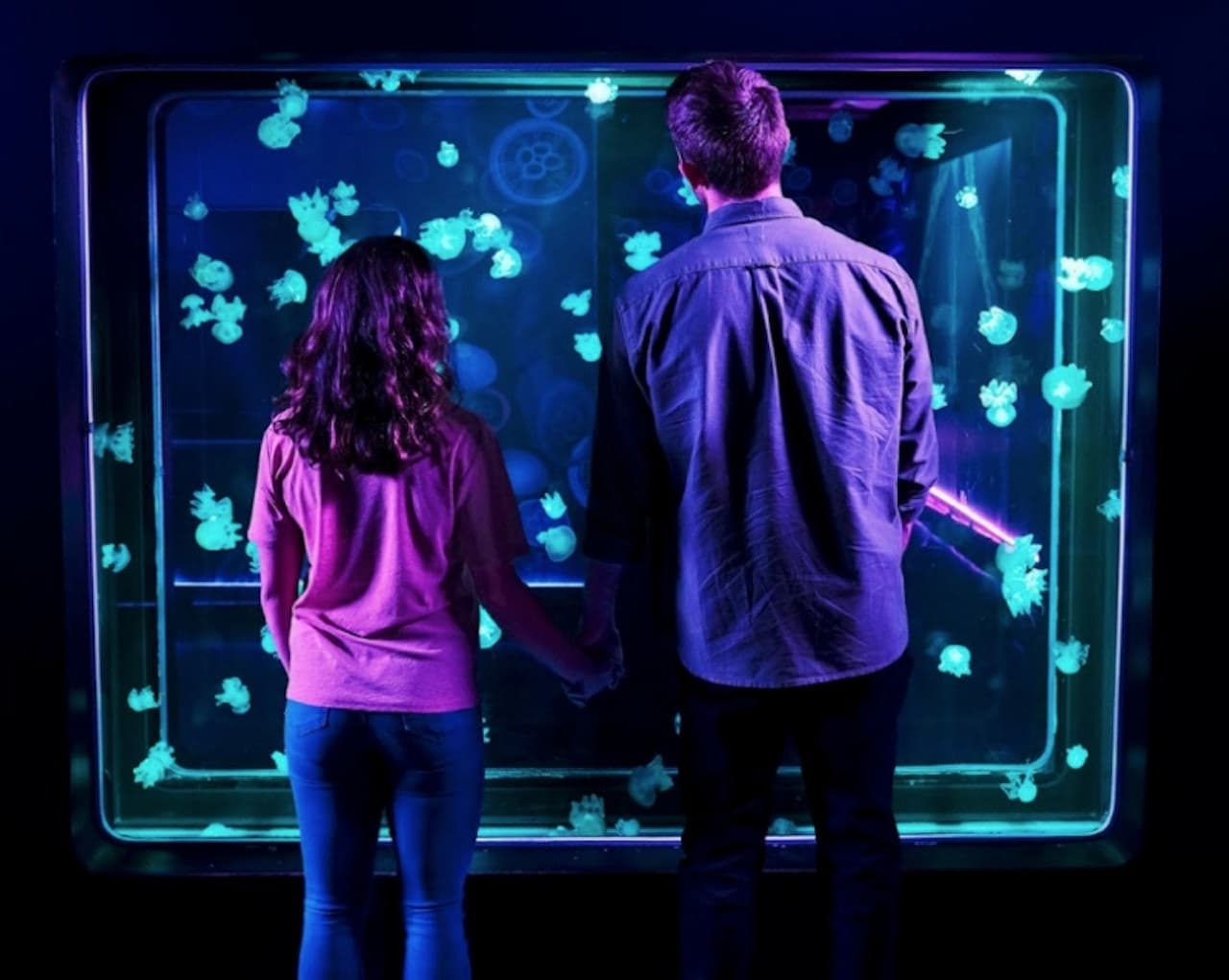SEA LIFE New Jersey Aquarium Ticket - تصویر 7