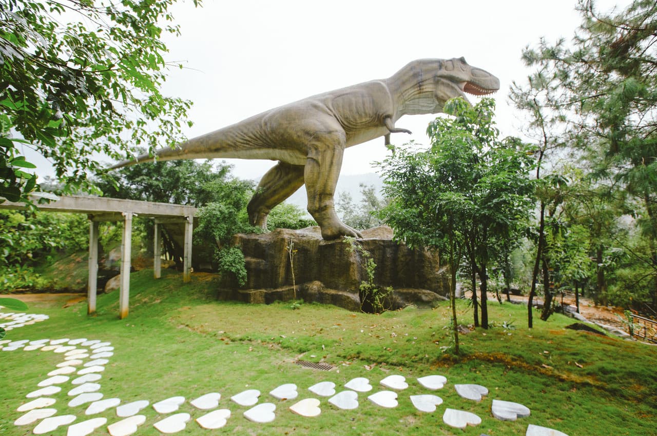 Nui Than Tai Hot Springs Park Tour - تصویر 13