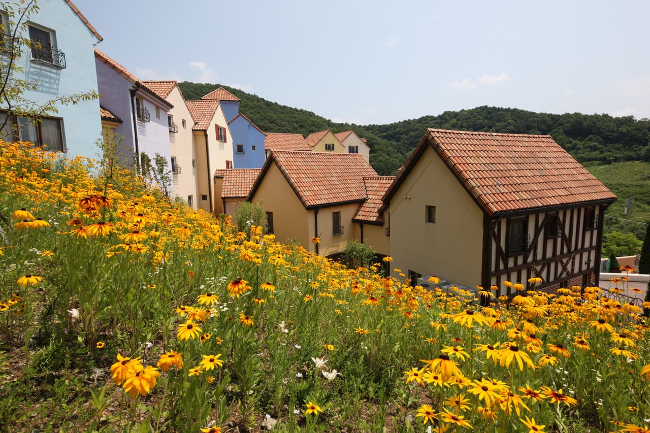 Nami Island, Petite France, Garden of Morning Calm, and Gangchon Rail Bike Tour from Seoul - تصویر اصلی