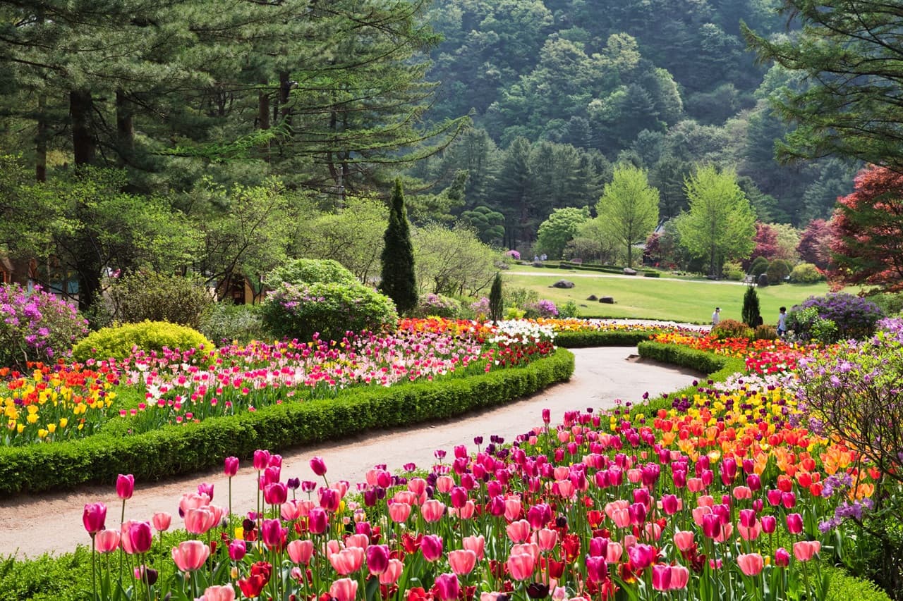 Nami Island, Mount Seorak, and Garden of Morning Calm Full-Day Tour from Seoul - تصویر 30