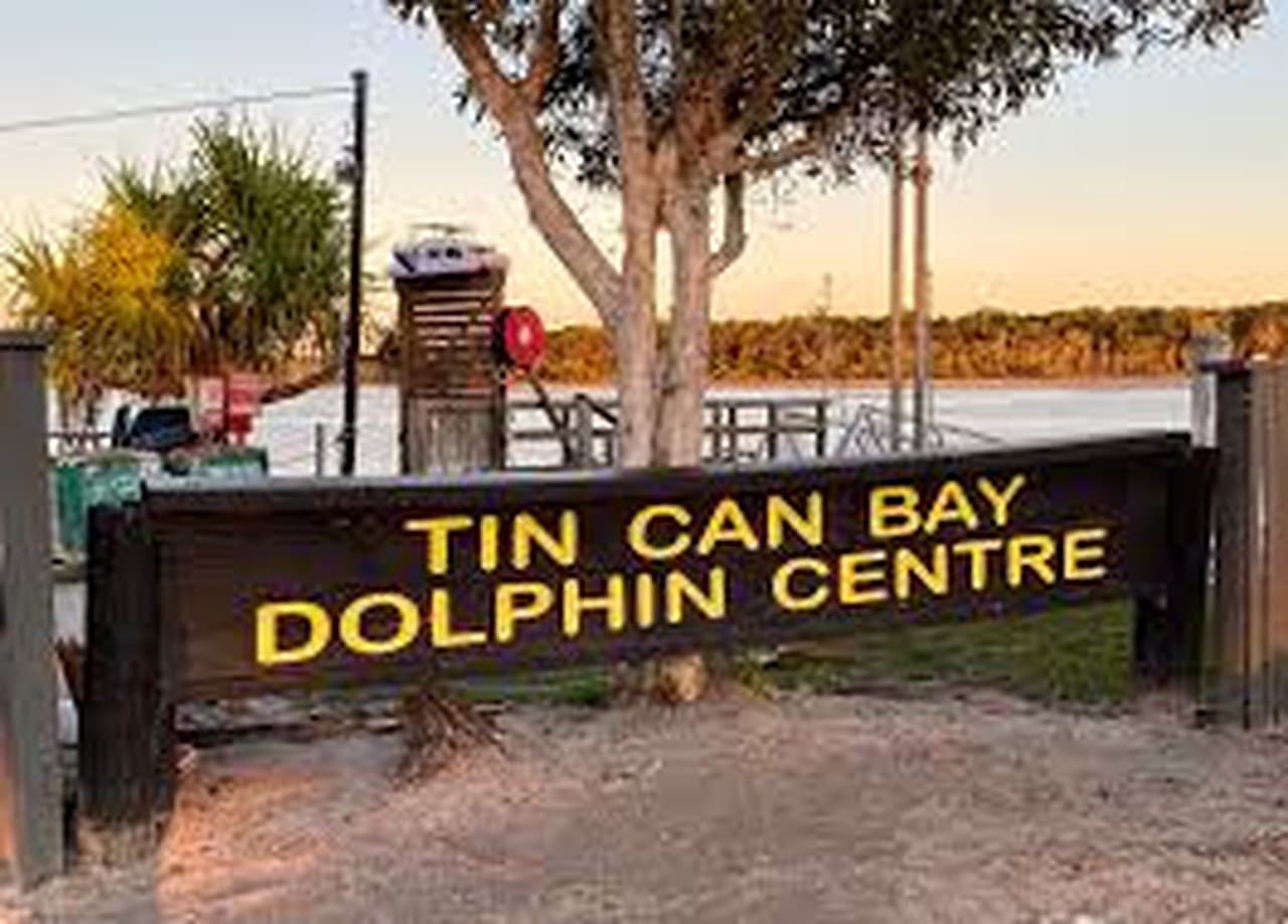 Dolphin Feeding Experience at Tin Can Bay from Rainbow Beach - تصویر 2