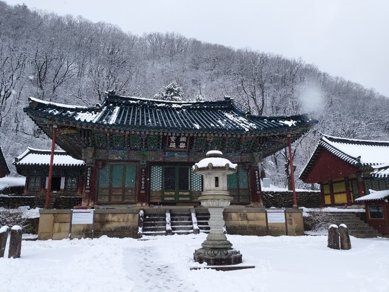 Nami Island and Mount Seorak Full-Day Tour from Seoul - تصویر 8