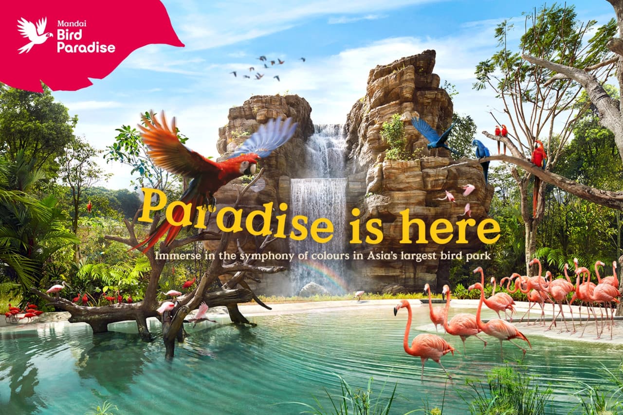 COMBO: River Wonders + Bird Paradise Ticket - تصویر 4