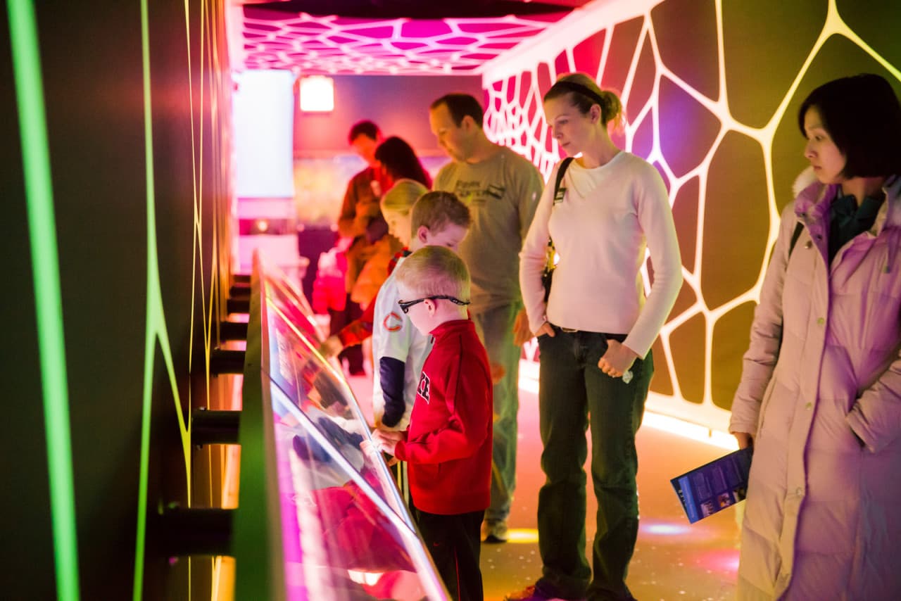 Go City Chicago Explorer Pass: Save up to 50% on Attractions - تصویر 26