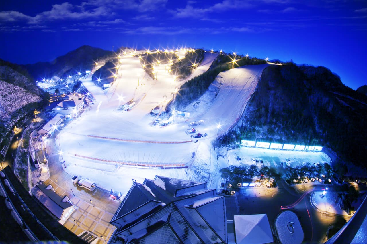Elysian Gangchon Ski Resort and Nami Island Full-Day Tour from Seoul - تصویر 8