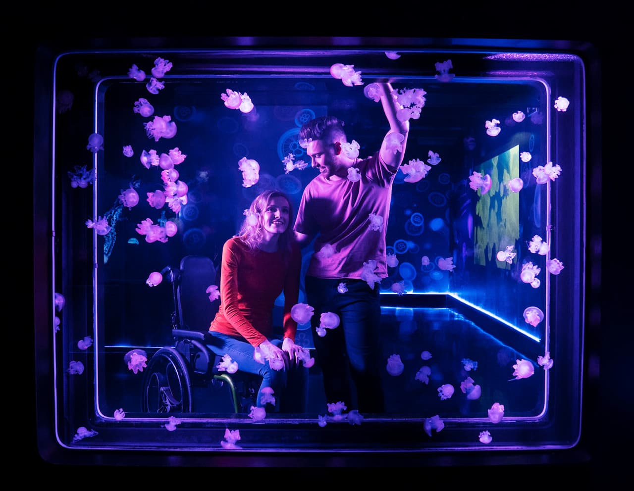 پکیج: SEA LIFE London Aquarium + Hubby eSIM رایگان - تصویر 8