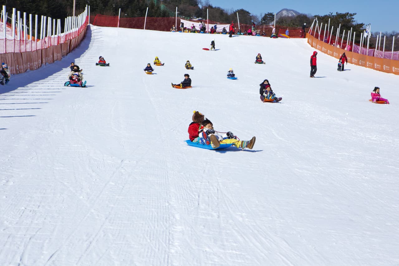 Elysian Gangchon Ski Resort and Nami Island Full-Day Tour from Seoul - تصویر 3