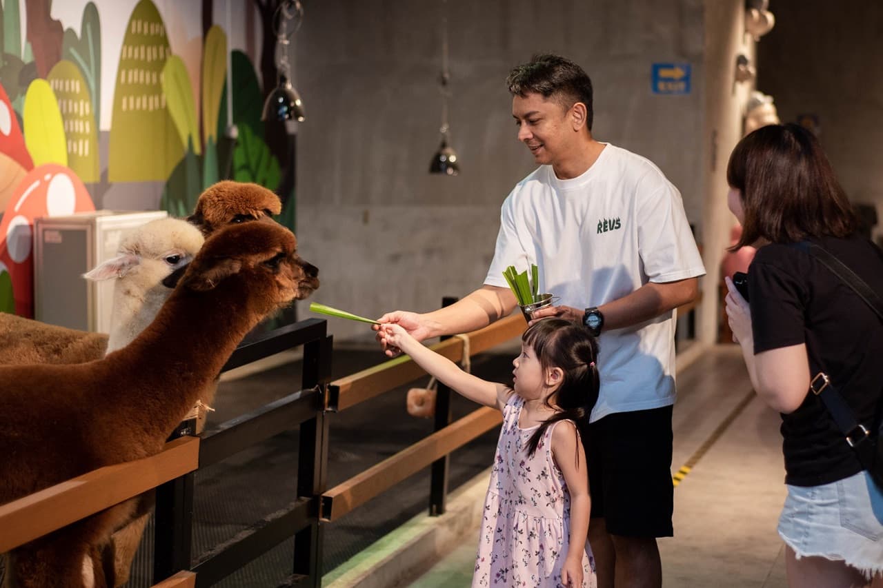 Just Farm Indoor Zoo Kuala Lumpur  (Previously Known As Just Pets Megastore) - تصویر 4