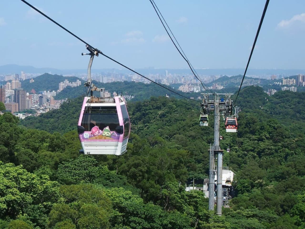 Pinglin Tea Culture and Maokong Full-Day Tour from Taipei - تصویر 7