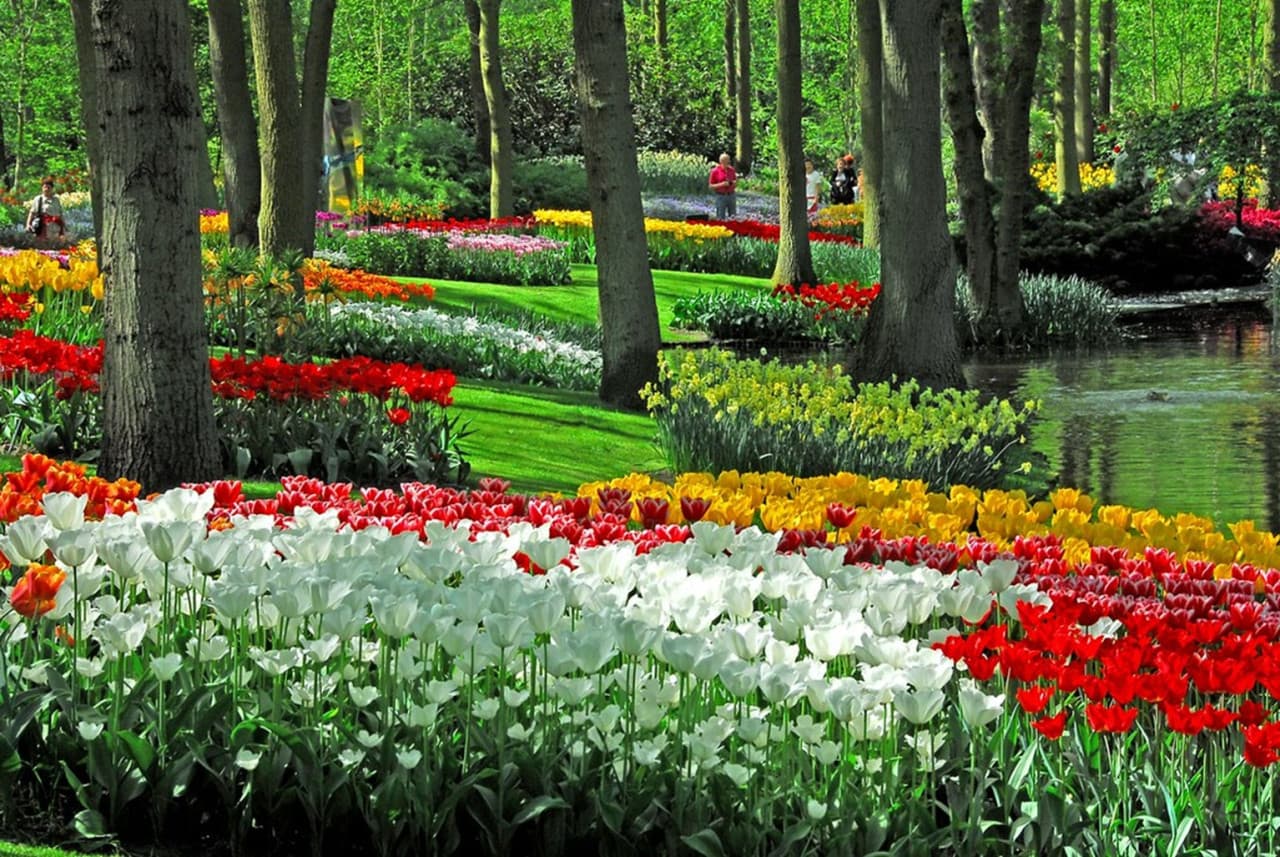 Keukenhof Gardens Ticket with Round Trip Bus Transfer from Amsterdam - تصویر اصلی