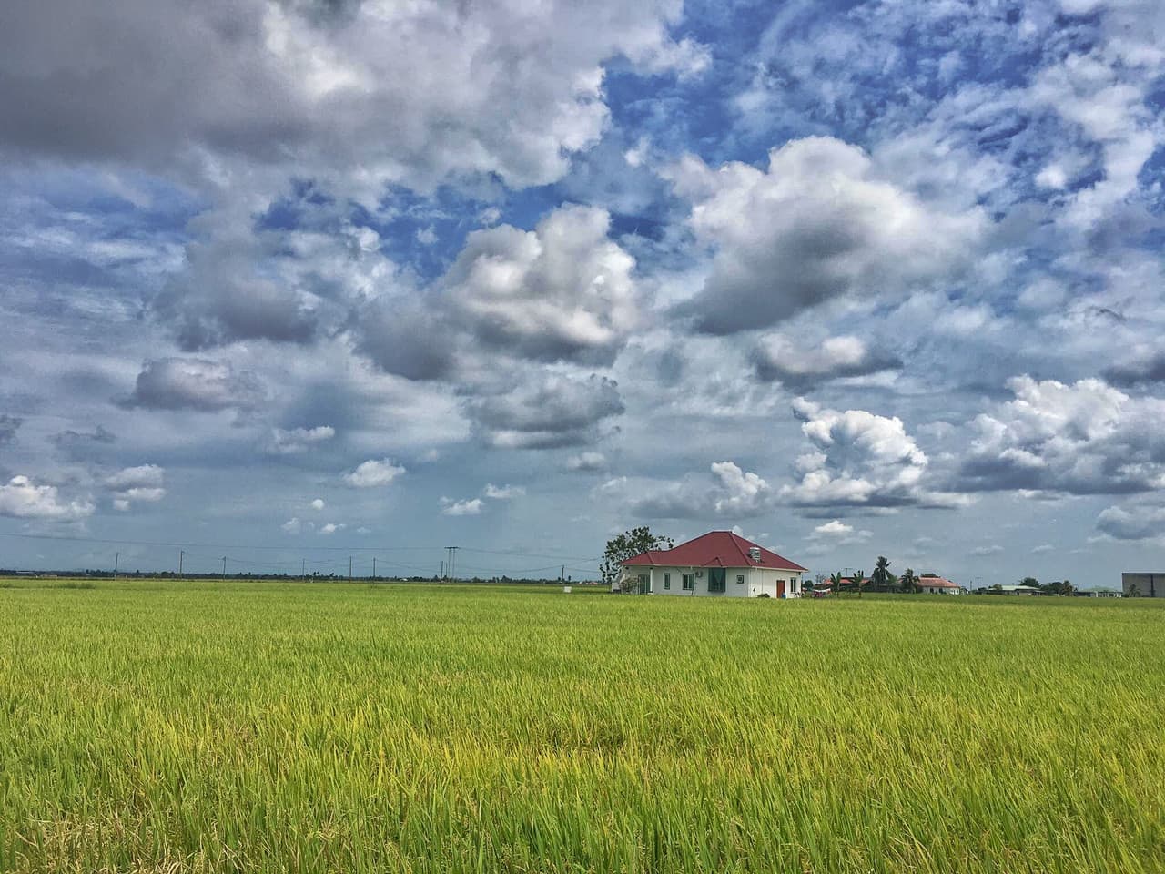 Sekinchan Paddy Fields and Fishing Village Tour from Kuala Lumpur - تصویر اصلی