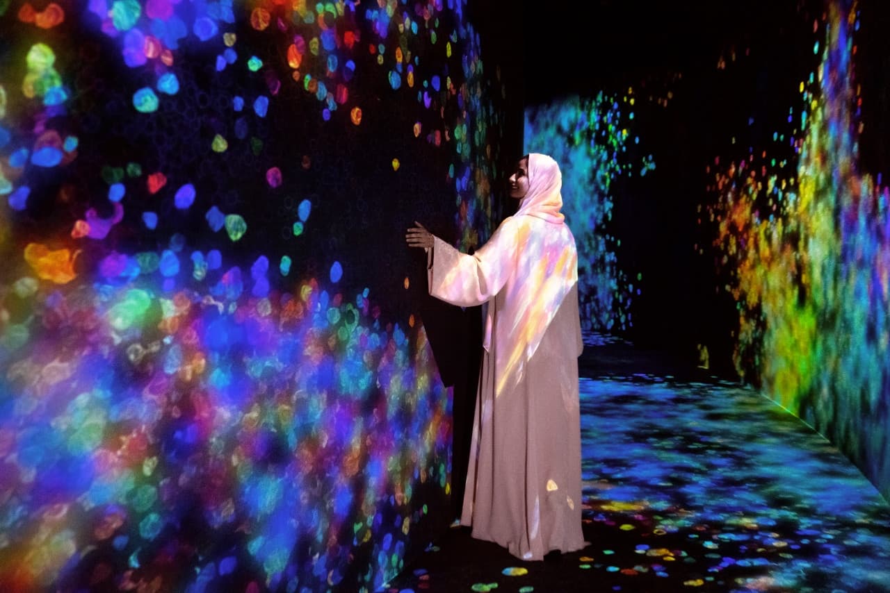 COMBO: Louvre Abu Dhabi + teamLab Phenomena + Big Bus Abu Dhabi Hop-on Hop-off Bus Tour - تصویر 6