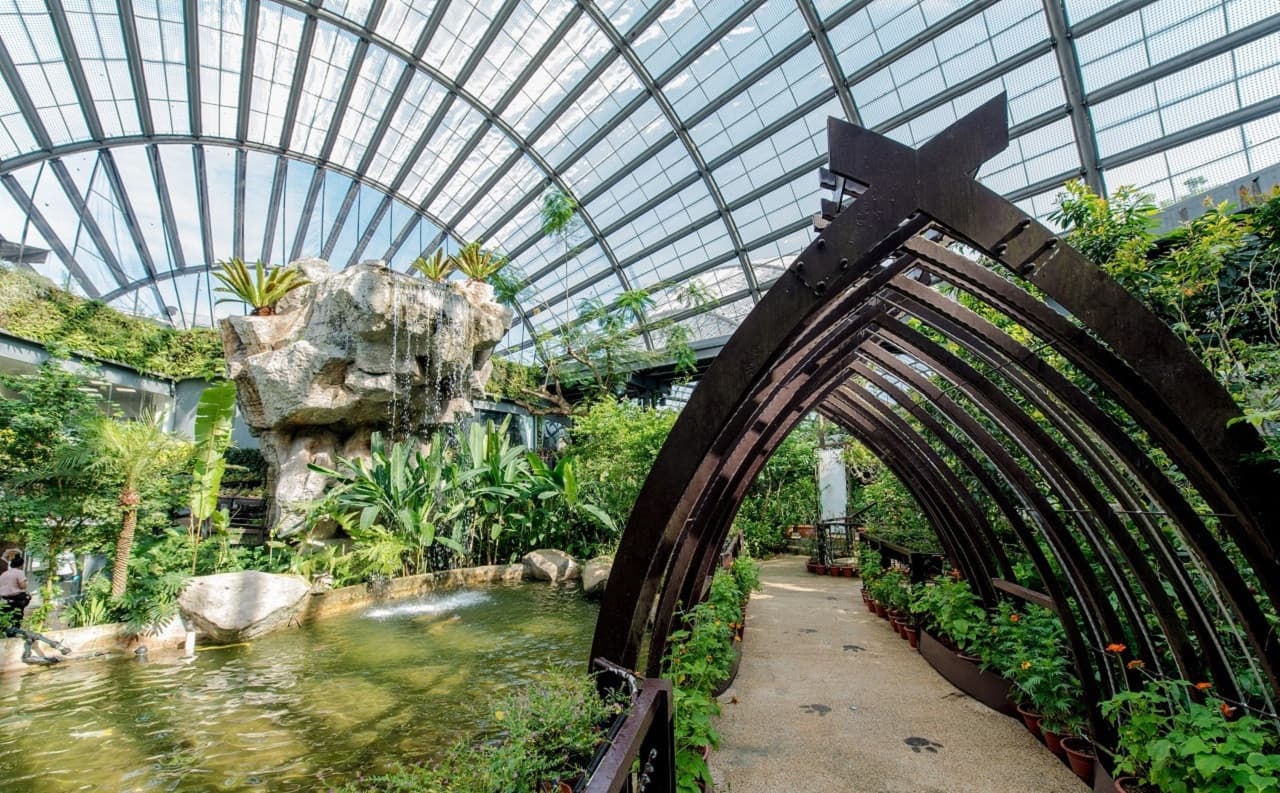 Entopia by Penang Butterfly Farm Ticket - تصویر 3