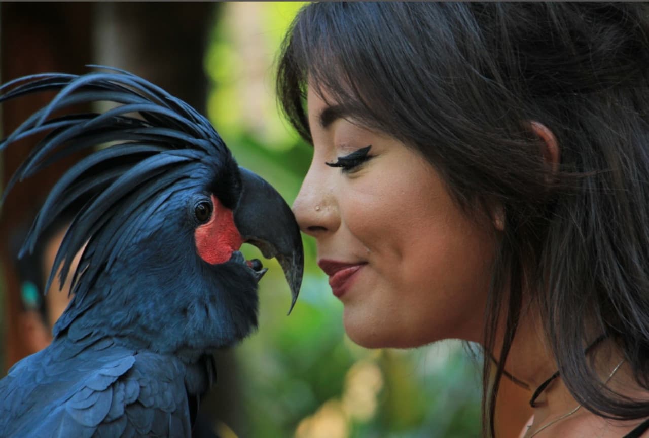 Lombok Wildlife Park: Intimate Wildlife Experience - تصویر 5