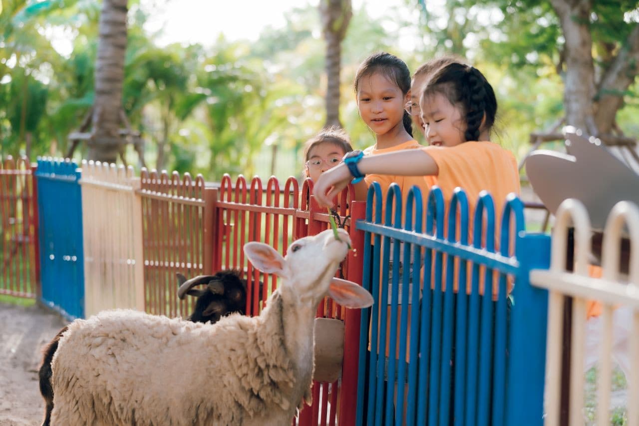 VinWonders Nam Hoi An Amusement Park Ticket - تصویر 11