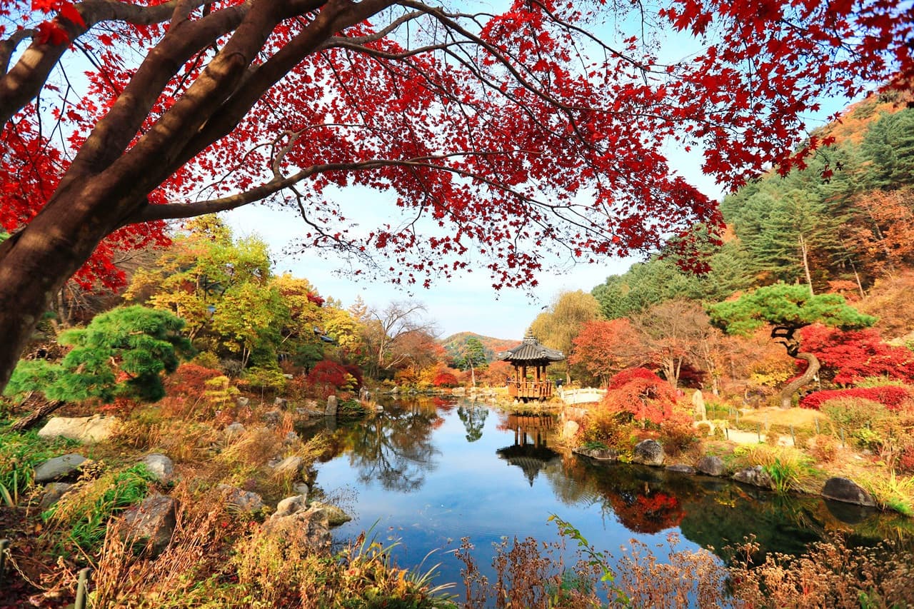 Nami Island, Mount Seorak, and Garden of Morning Calm Full-Day Tour from Seoul - تصویر 2