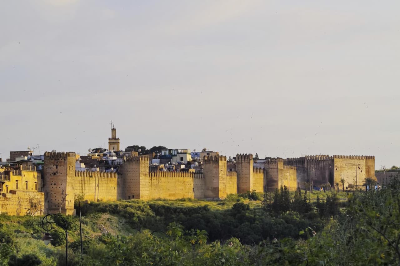 Fez Full-Day Tour from Casablanca: Medina of Fez, Al-Qarawiyyin Mosque, Al-Attarine Medersa - تصویر 4