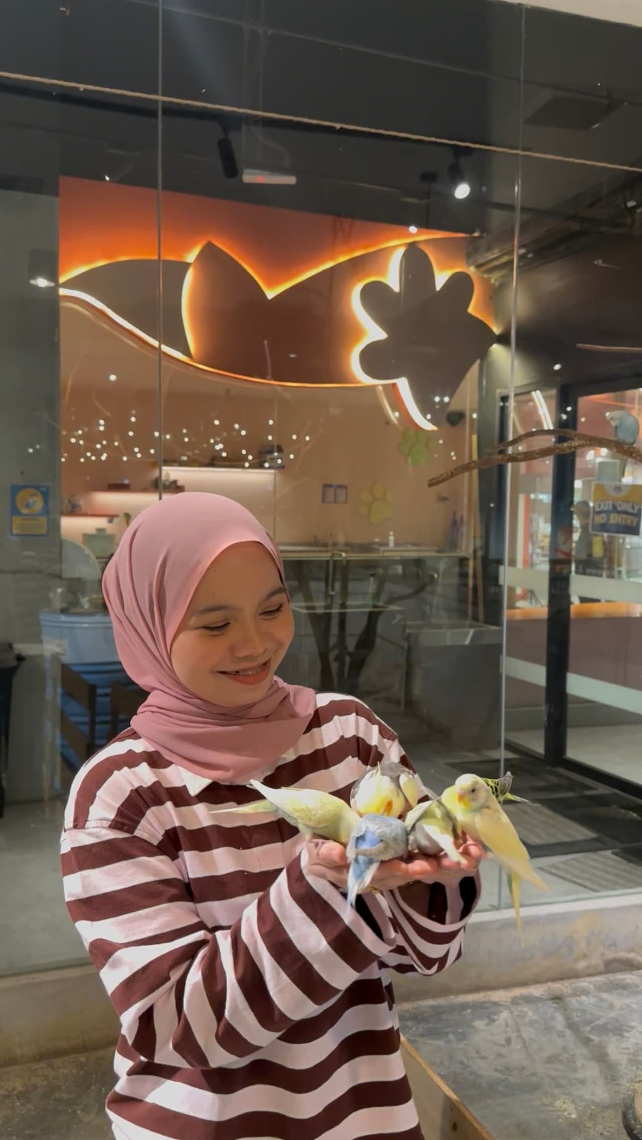 Just Farm Indoor Zoo Kuala Lumpur  (Previously Known As Just Pets Megastore) - تصویر 2