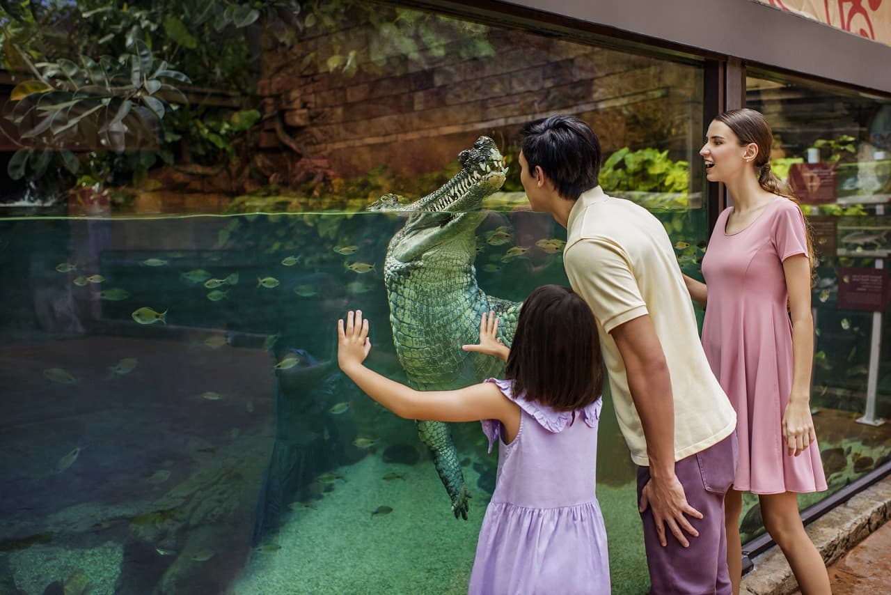 COMBO: Singapore Zoo + River Wonders Ticket - تصویر 18