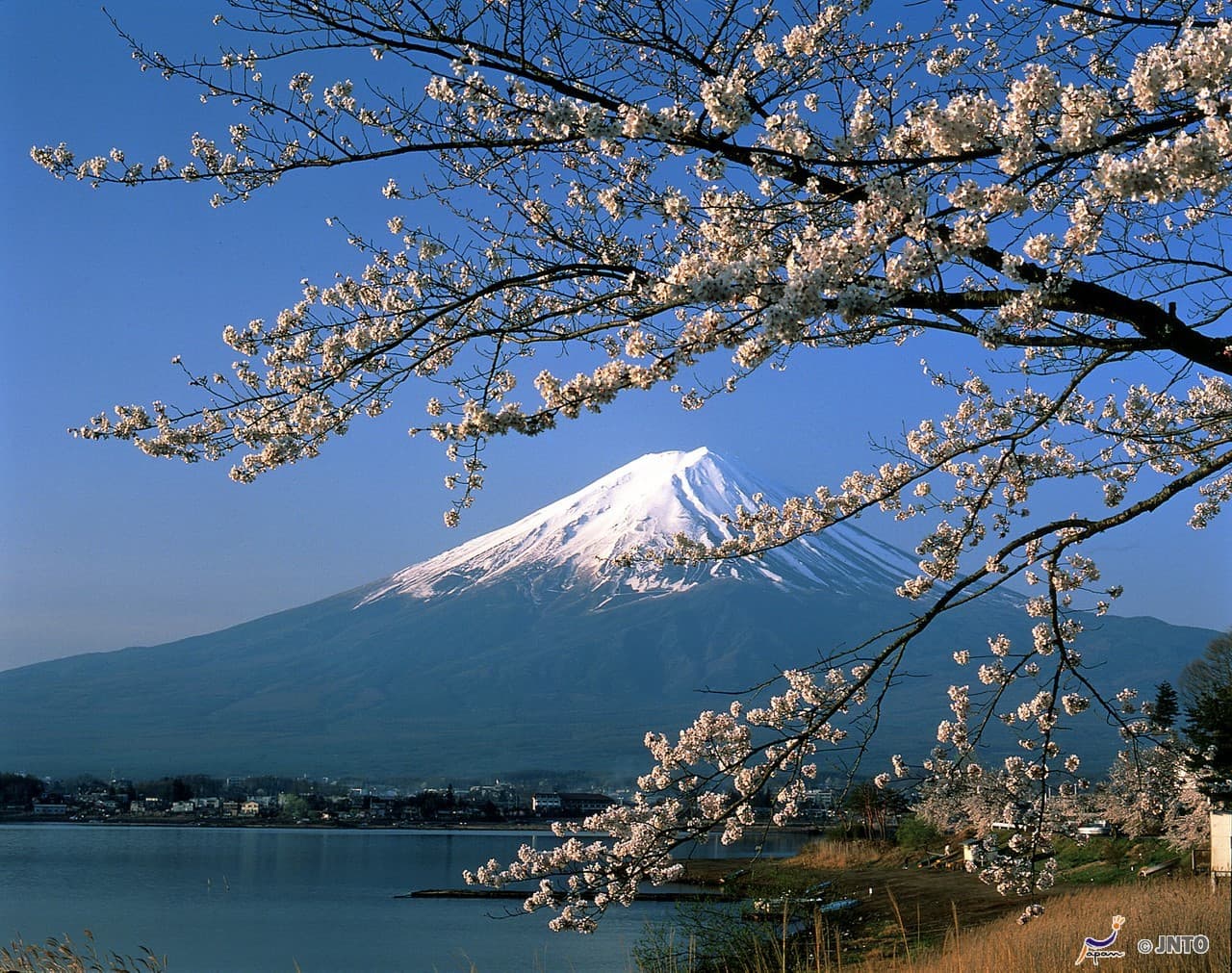Mount Fuji G Line Full-Day Tour from Tokyo: Arakurayama Sengen Park, Lake Kawaguchi - تصویر 2