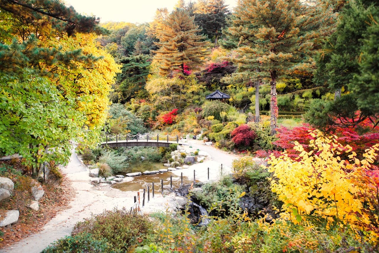 Nami Island, Mount Seorak, and Garden of Morning Calm Full-Day Tour from Seoul - تصویر 3