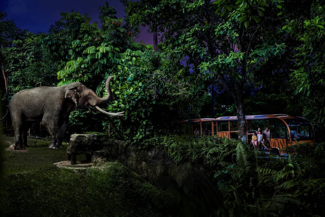 Mandai Destination Pass: Up to 2 Attractions in 1 Day - تصویر 5