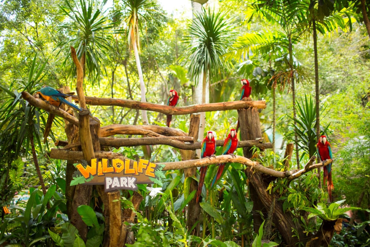 Sunway Lagoon Theme Park Ticket - تصویر 11