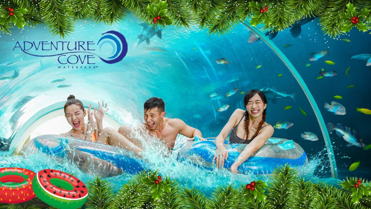 COMBO: Universal Studios Singapore + Singapore Oceanarium + Adventure Cove Waterpark Tickets - تصویر 10