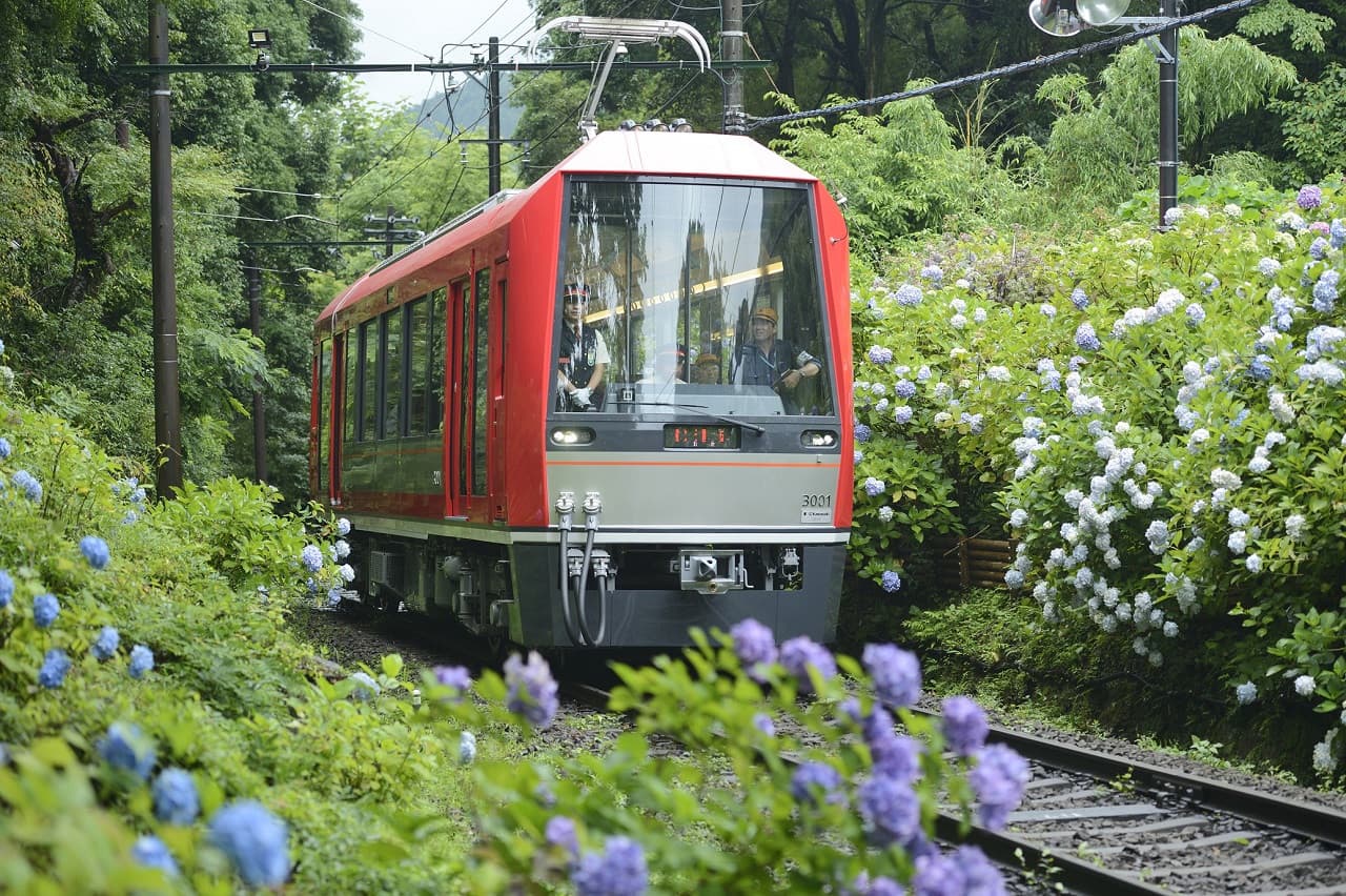 Hakone Kamakura Pass - تصویر 5