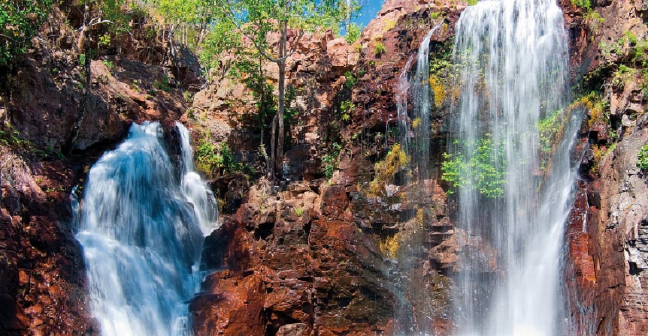 Litchfield National Park and Waterfalls Tour from Darwin - تصویر 5