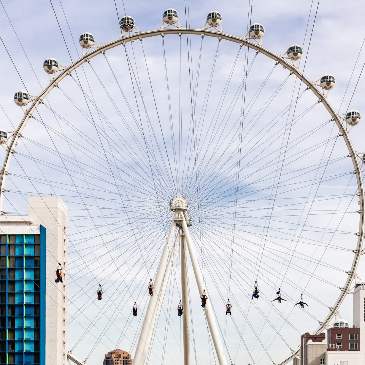 Fly LINQ Zipline - تصویر اصلی