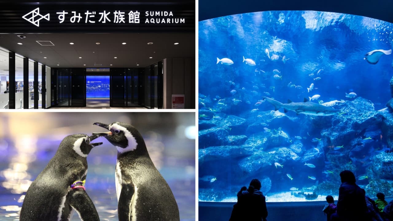Have Fun in Japan Pass - 2 Weeks Free Pass - تصویر 7