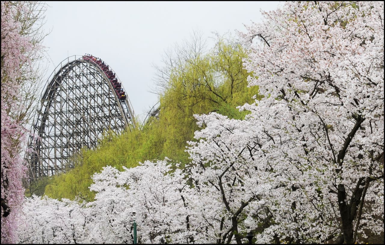 Everland Theme Park Ticket - تصویر 20