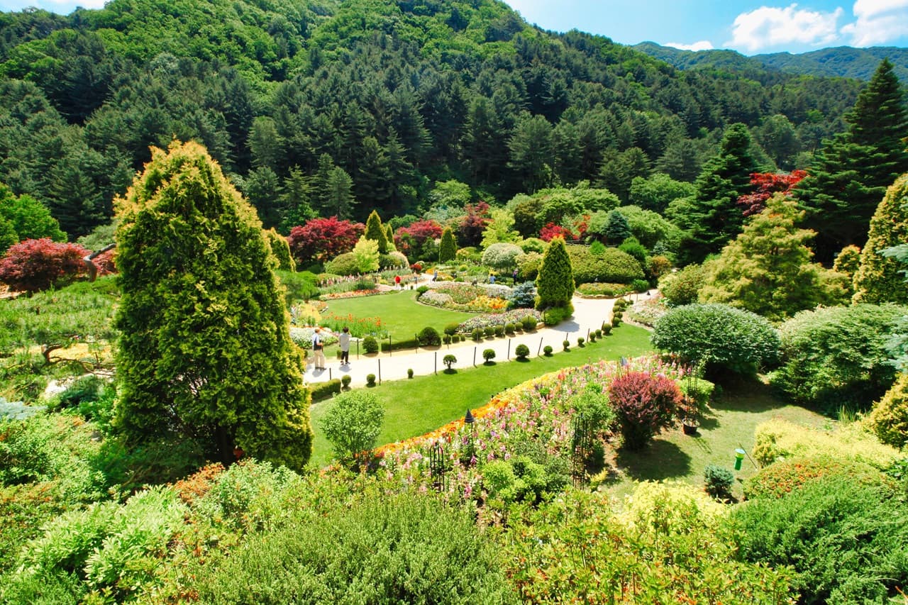 Nami Island, Mount Seorak, and Garden of Morning Calm Full-Day Tour from Seoul - تصویر 27