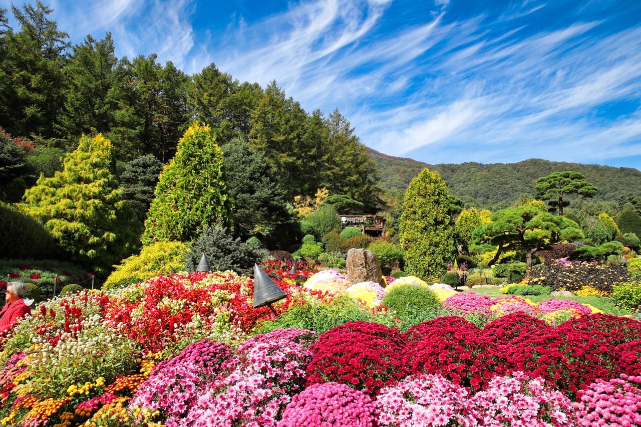 Nami Island, Mount Seorak, and Garden of Morning Calm Full-Day Tour from Seoul - تصویر 28